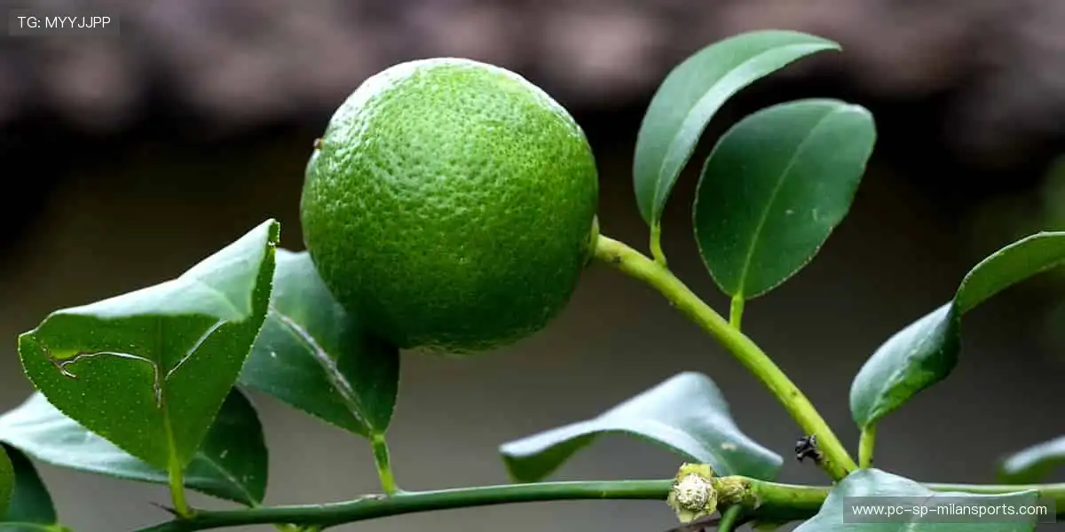 👟 个性周边，品质之选，用热爱武装你的每一次登场！